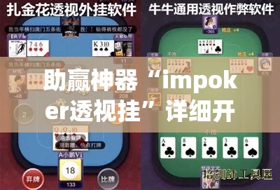 助赢神器“impoker透视挂”详细开挂教程