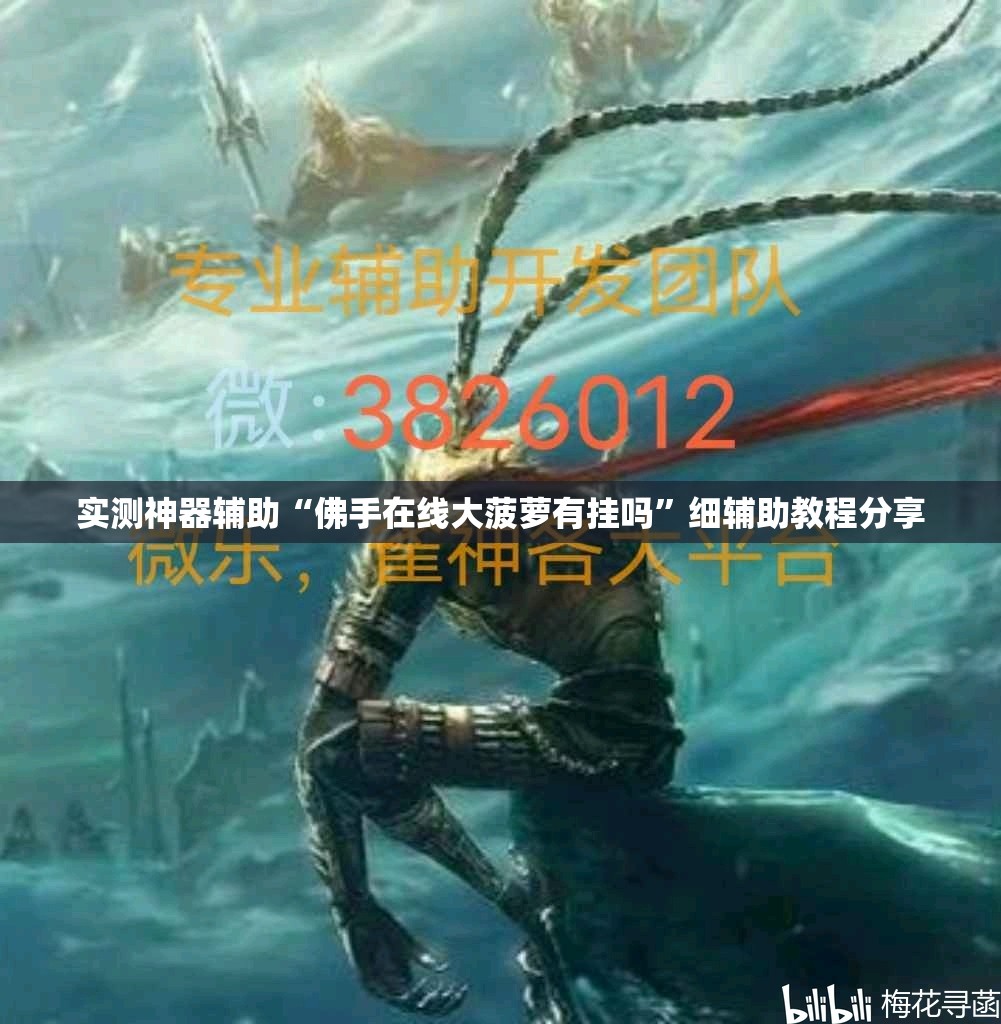 实测神器辅助“佛手在线大菠萝有挂吗”细辅助教程分享