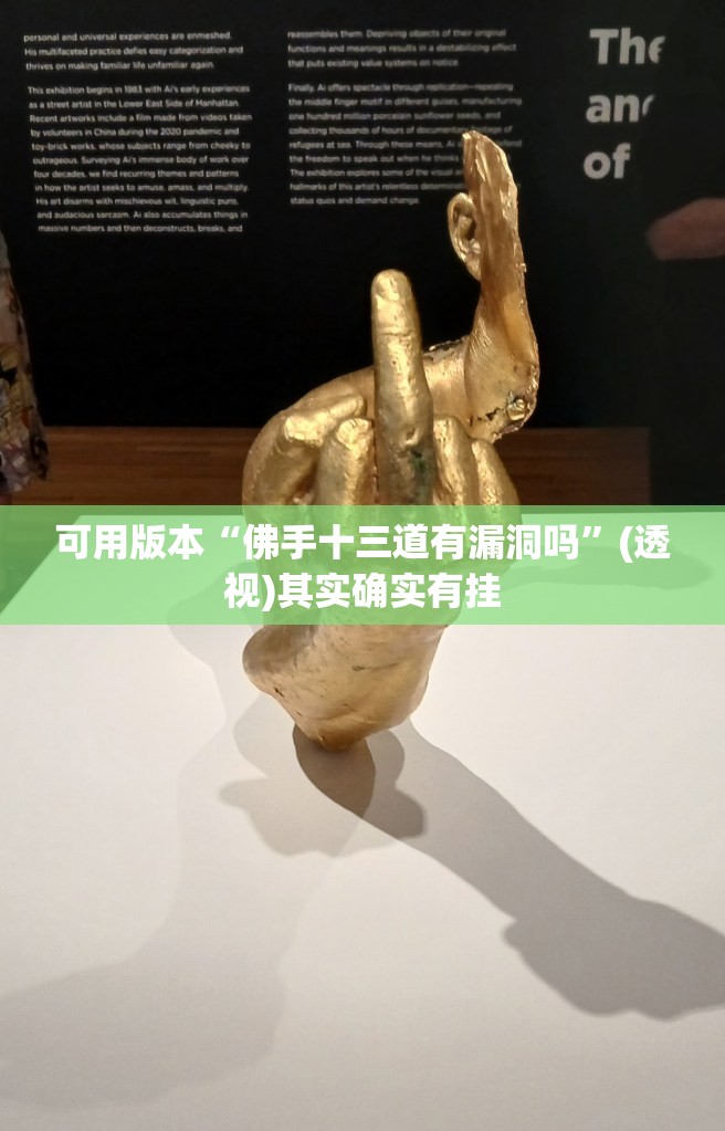 可用版本“佛手十三道有漏洞吗”(透视)其实确实有挂