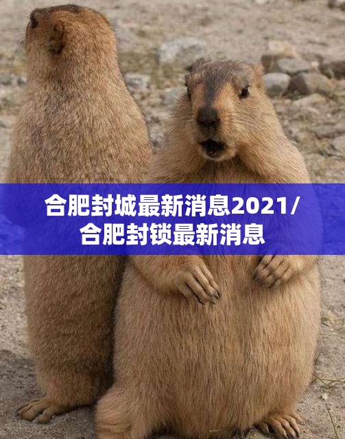 合肥封城最新消息2021/合肥封锁最新消息