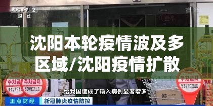 沈阳本轮疫情波及多区域/沈阳疫情扩散
