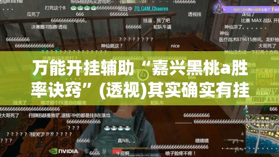 万能开挂辅助“嘉兴黑桃a胜率诀窍”(透视)其实确实有挂