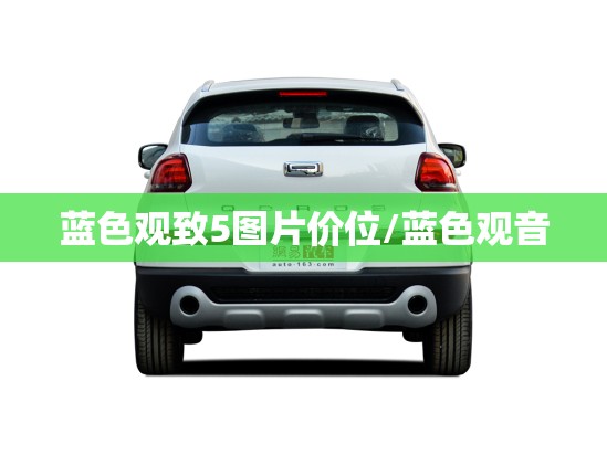 蓝色观致5图片价位/蓝色观音