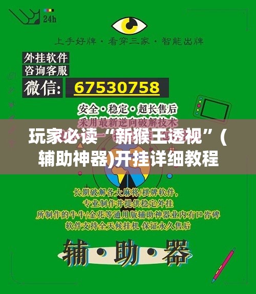 玩家必读“新猴王透视”(辅助神器)开挂详细教程