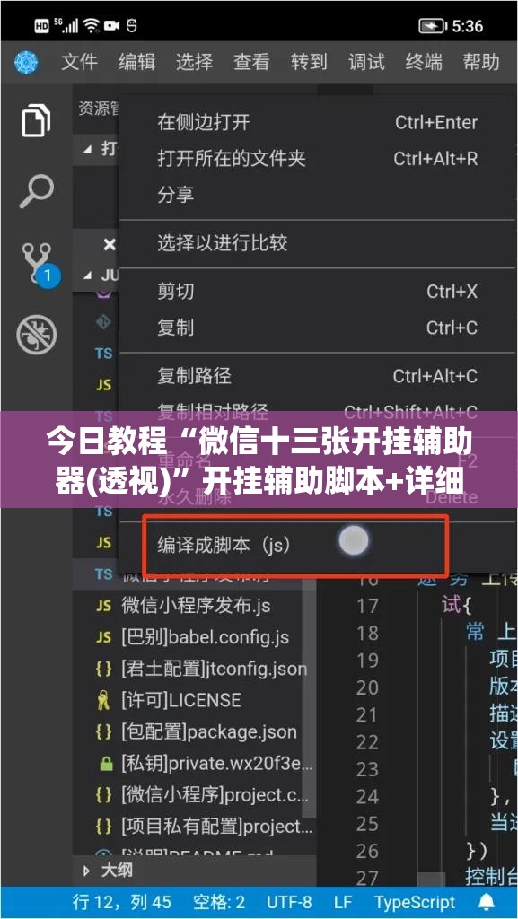 今日教程“微信十三张开挂辅助器(透视)”开挂辅助脚本+详细开挂安装教程