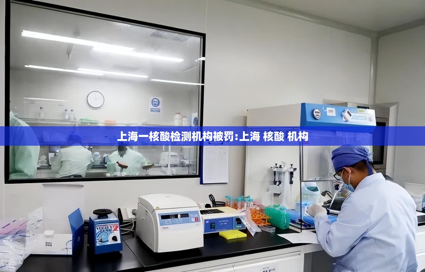 上海一核酸检测机构被罚:上海 核酸 机构