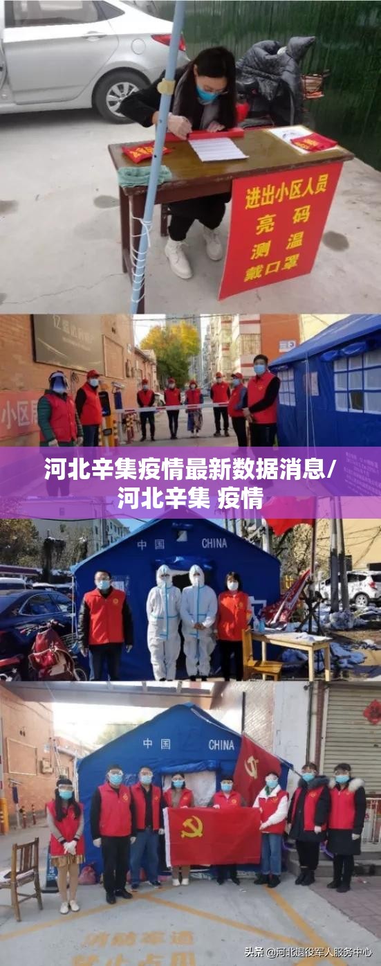 河北辛集疫情最新数据消息/河北辛集 疫情 河北辛集疫情最新数据消息/河北辛集 疫情