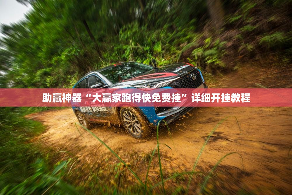 助赢神器“大赢家跑得快免费挂”详细开挂教程