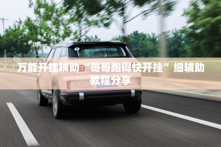 万能开挂辅助“哥哥跑得快开挂”细辅助教程分享