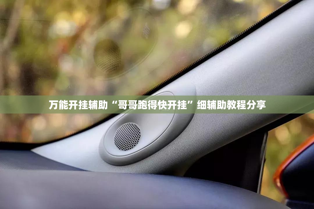 万能开挂辅助“哥哥跑得快开挂”细辅助教程分享
