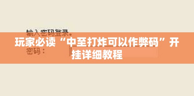 玩家必读“中至打炸可以作弊码”开挂详细教程