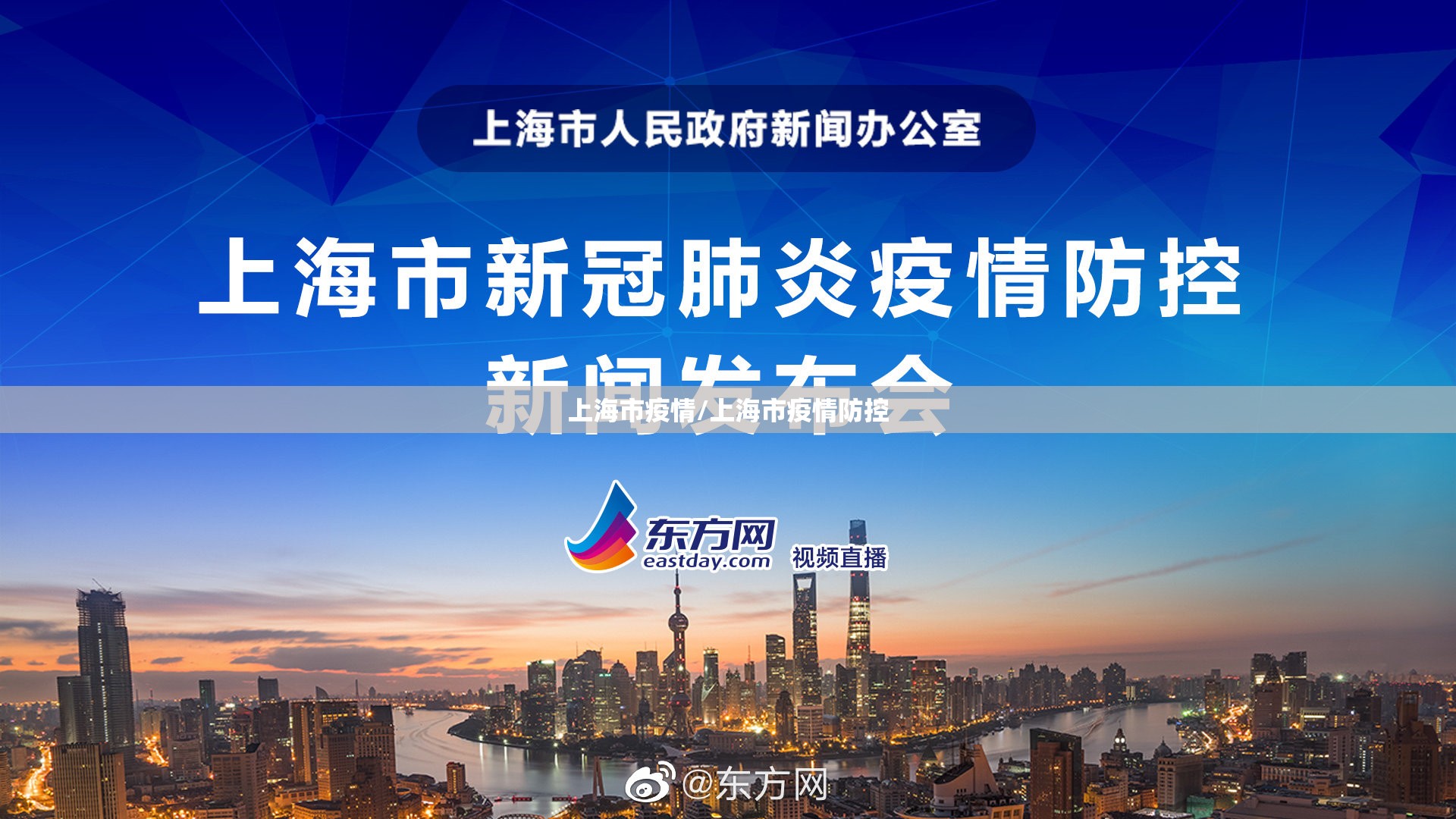 上海市疫情/上海市疫情防控