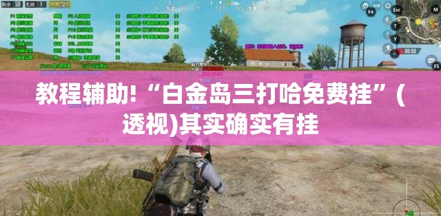 教程辅助!“白金岛三打哈免费挂	”(透视)其实确实有挂