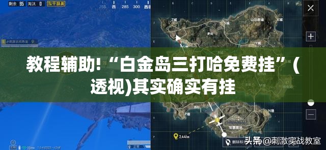 教程辅助!“白金岛三打哈免费挂	”(透视)其实确实有挂