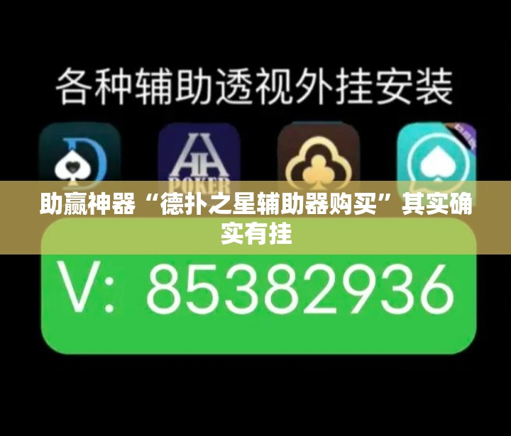 助赢神器“德扑之星辅助器购买	”其实确实有挂