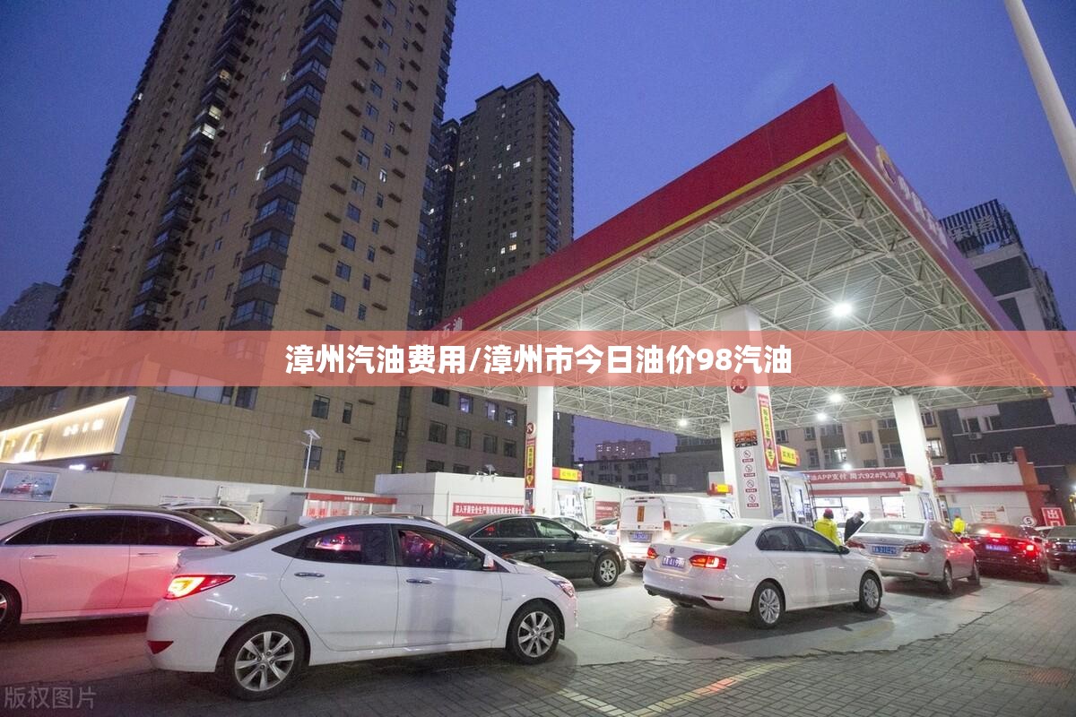 漳州汽油费用/漳州市今日油价98汽油