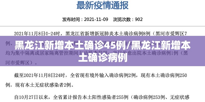 黑龙江新增本土确诊45例/黑龙江新增本土确诊病例