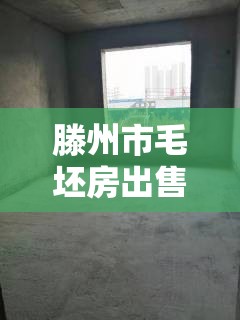 滕州市毛坯房出售（滕州二手房毛坯房）