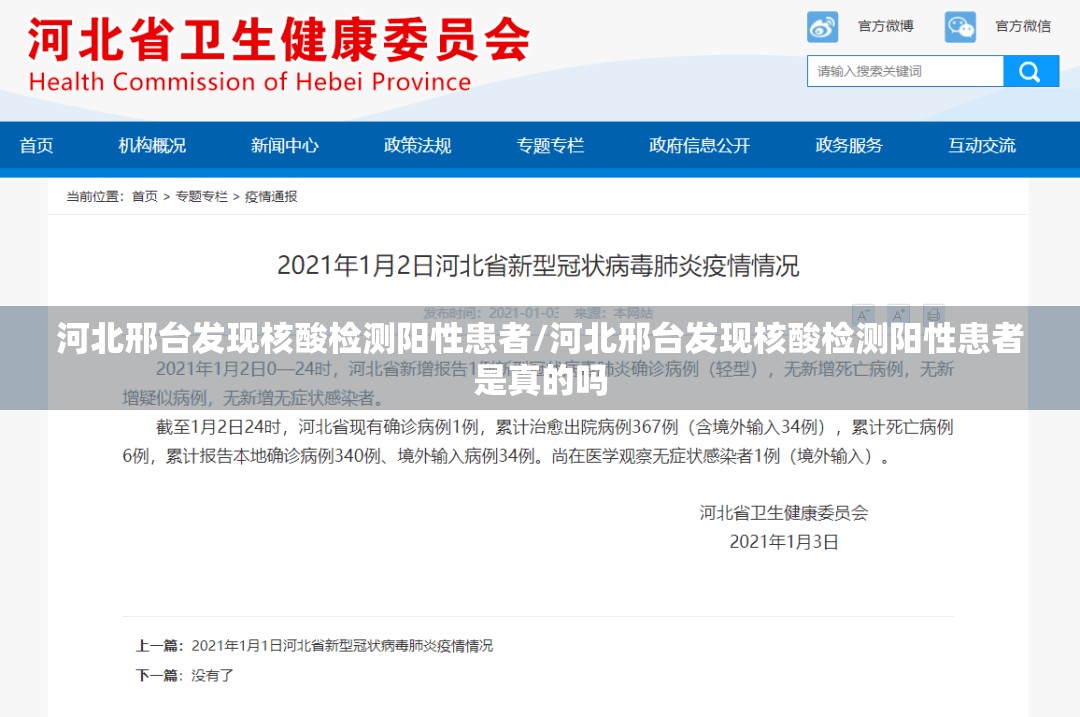 河北邢台发现核酸检测阳性患者/河北邢台发现核酸检测阳性患者是真的吗