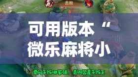 可用版本“微乐麻将小程序挂”开挂辅助脚本+详细开挂安装教程