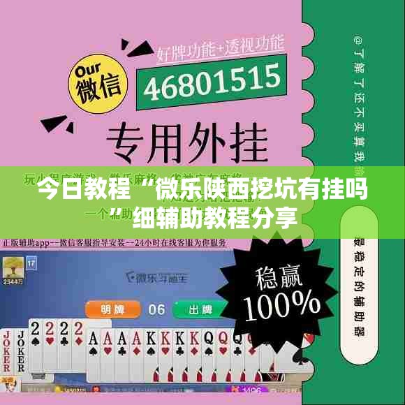 今日教程“微乐陕西挖坑有挂吗”细辅助教程分享