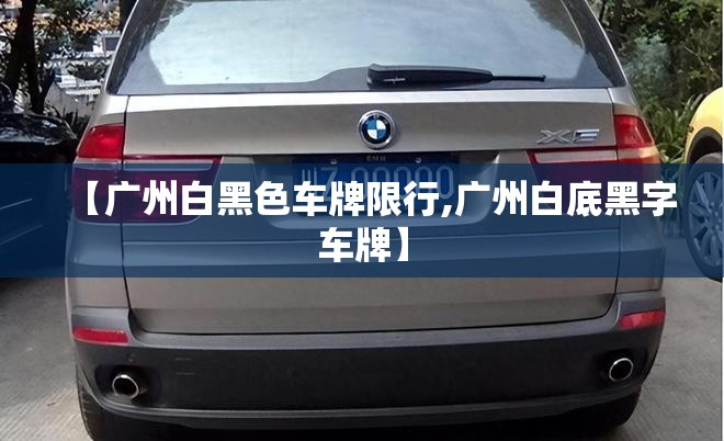 【广州白黑色车牌限行,广州白底黑字车牌】