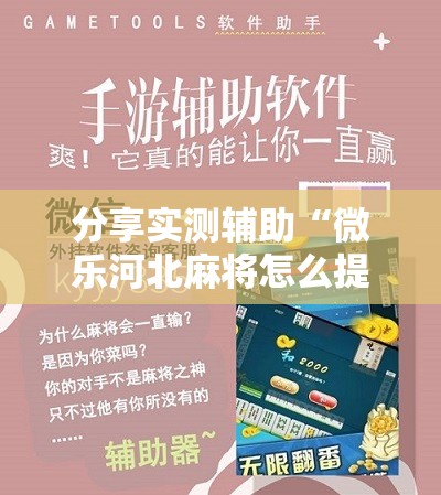 分享实测辅助“微乐河北麻将怎么提高胜率”细辅助教程分享