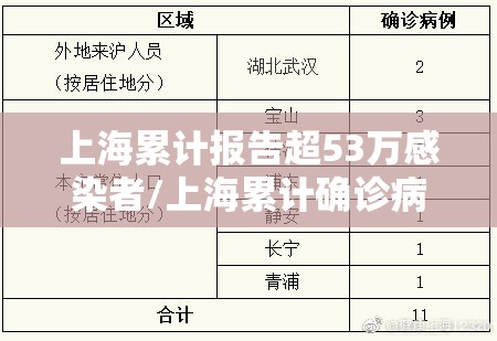 上海累计报告超53万感染者/上海累计确诊病例 上海累计报告超53万感染者/上海累计确诊病例