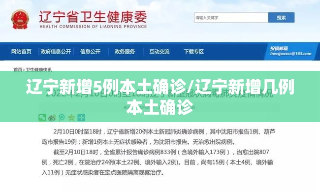 辽宁新增5例本土确诊/辽宁新增几例本土确诊 辽宁新增5例本土确诊/辽宁新增几例本土确诊