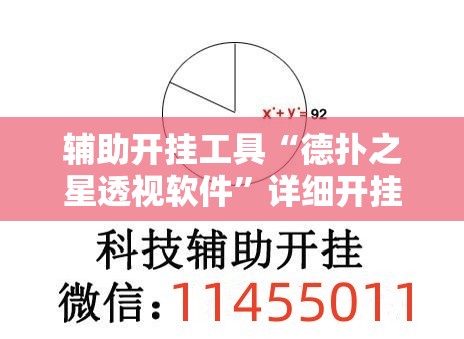 辅助开挂工具“德扑之星透视软件	”详细开挂教程