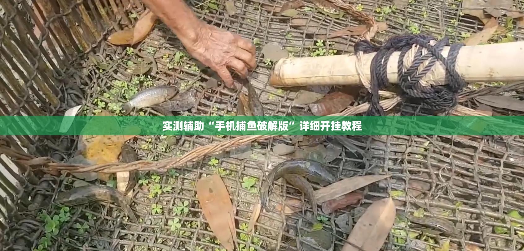 实测辅助“手机捕鱼破解版”详细开挂教程