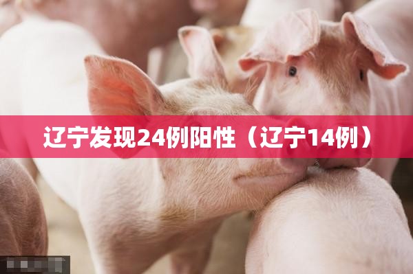 辽宁发现24例阳性（辽宁14例）
