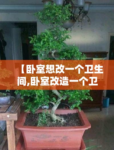 【卧室想改一个卫生间,卧室改造一个卫生间】