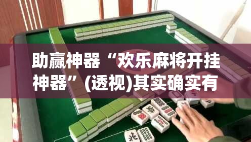 助赢神器“欢乐麻将开挂神器”(透视)其实确实有挂