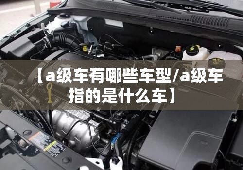 【a级车有哪些车型/a级车指的是什么车】