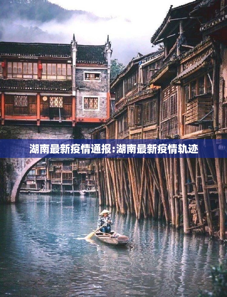 湖南最新疫情通报:湖南最新疫情轨迹