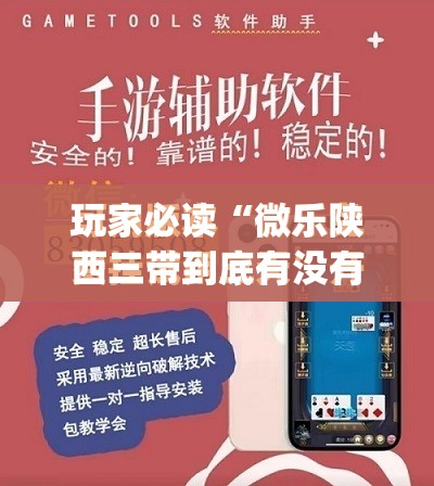 玩家必读“微乐陕西三带到底有没有挂”开挂(透视)最新辅助详细