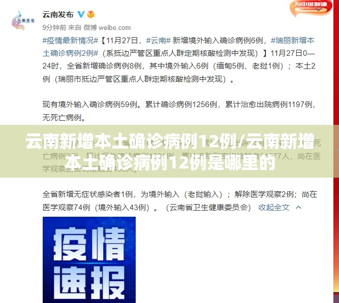 云南新增本土确诊病例12例/云南新增本土确诊病例12例是哪里的