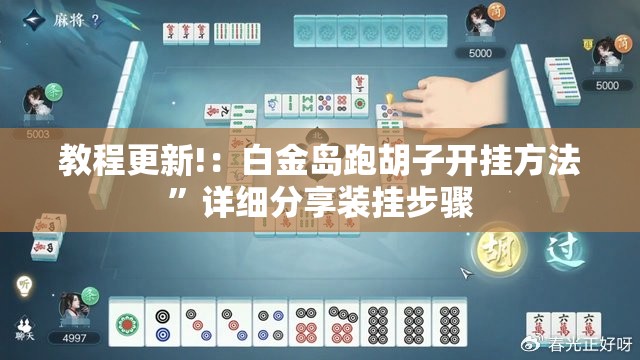 教程更新!：白金岛跑胡子开挂方法”详细分享装挂步骤