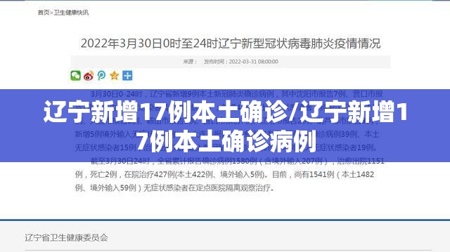 辽宁新增17例本土确诊/辽宁新增17例本土确诊病例