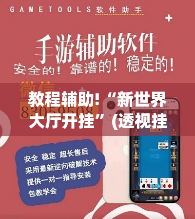 教程辅助!“新世界大厅开挂”(透视挂)辅助下载教程
