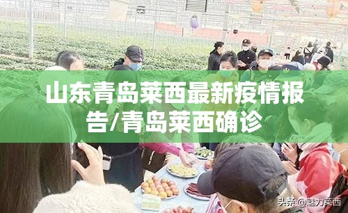 山东青岛莱西最新疫情报告/青岛莱西确诊