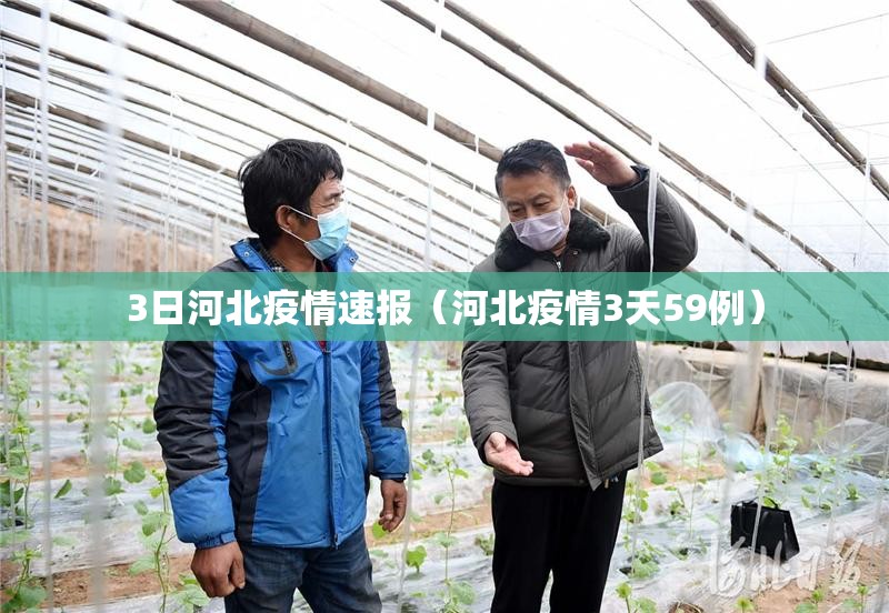 3日河北疫情速报（河北疫情3天59例）