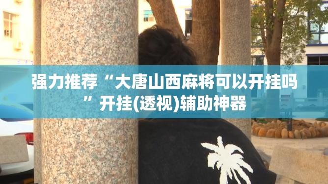 强力推荐“大唐山西麻将可以开挂吗”开挂(透视)辅助神器