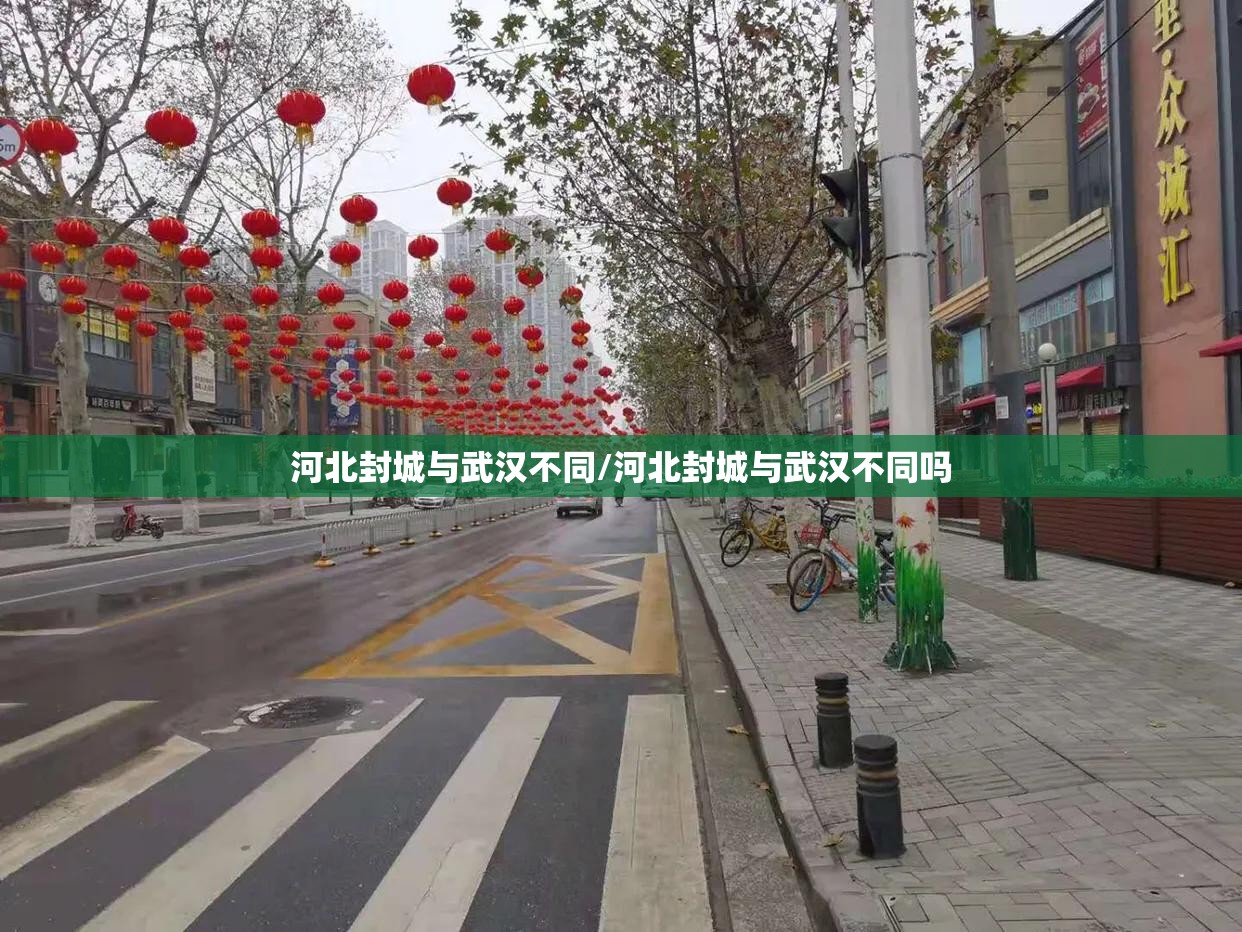 河北封城与武汉不同/河北封城与武汉不同吗