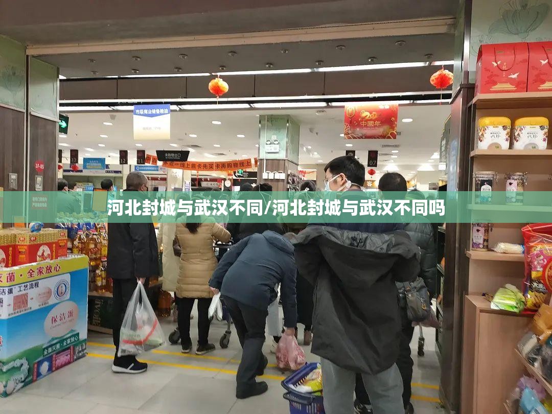 河北封城与武汉不同/河北封城与武汉不同吗