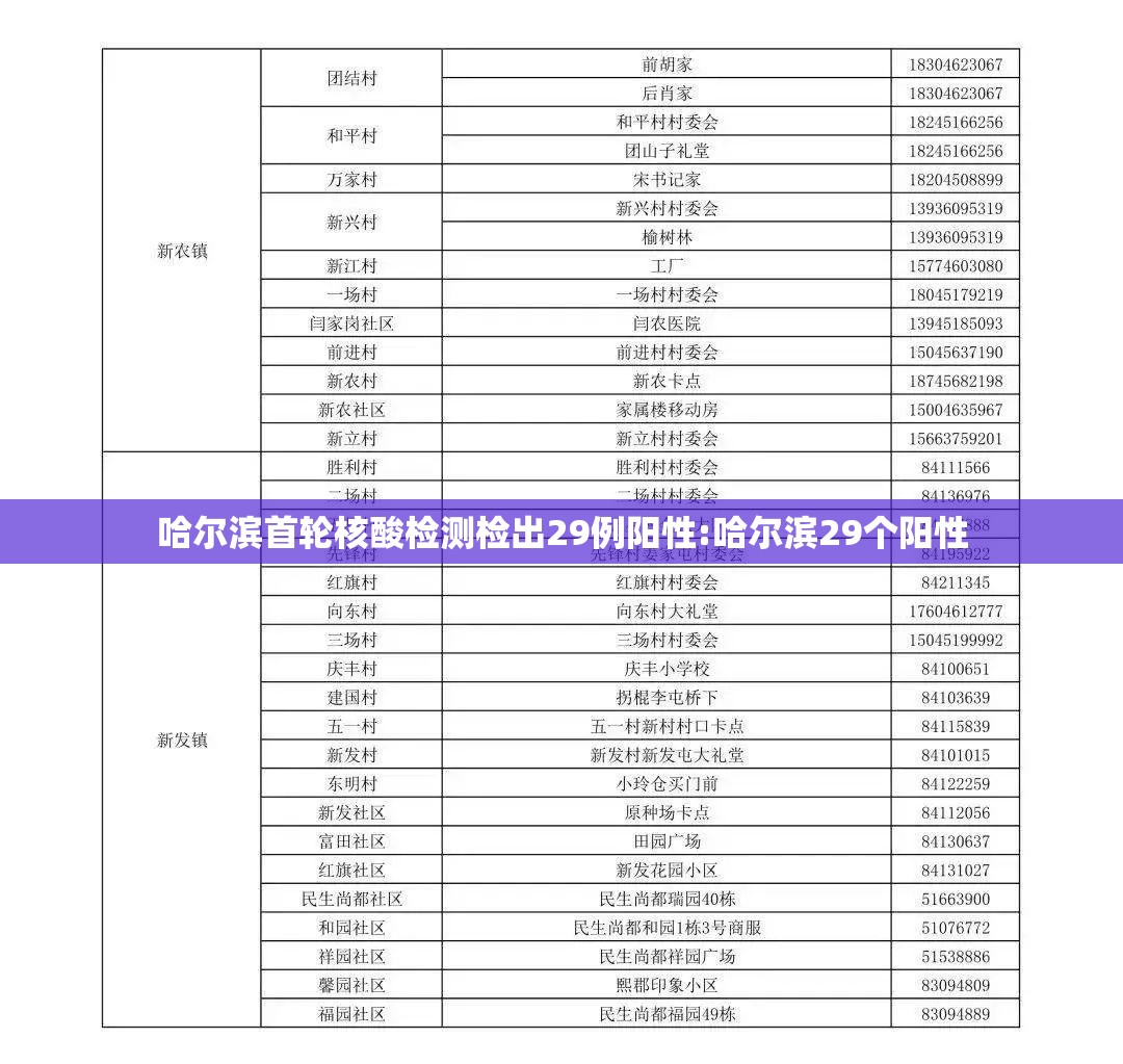 哈尔滨首轮核酸检测检出29例阳性:哈尔滨29个阳性