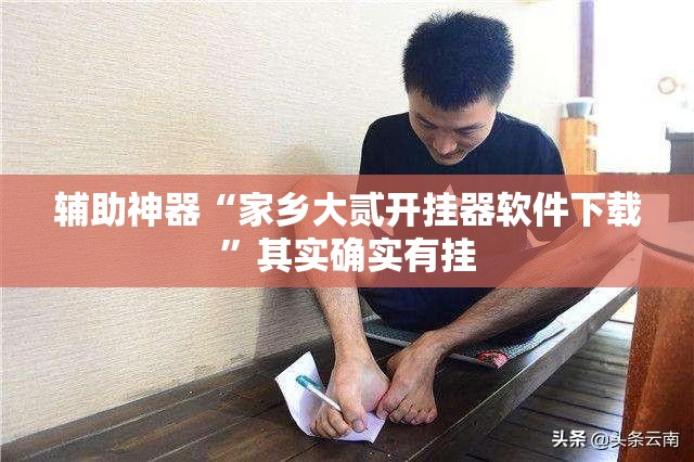 辅助神器“家乡大贰开挂器软件下载	”其实确实有挂