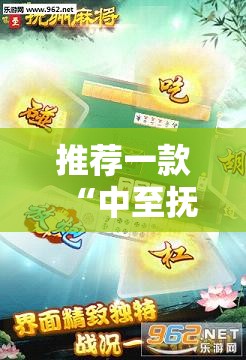推荐一款“中至抚州麻将可以装挂吗”细辅助教程分享