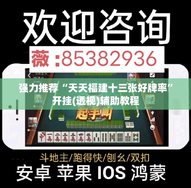 强力推荐“天天福建十三张好牌率”开挂(透视)辅助教程